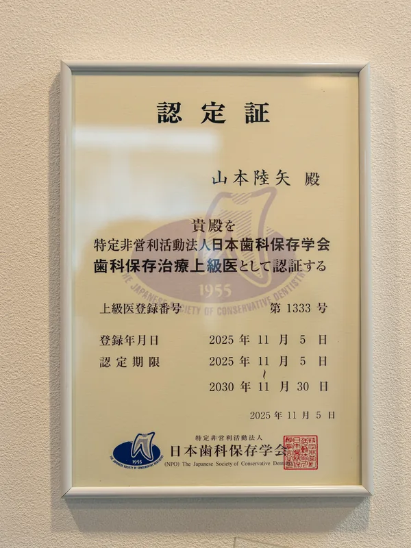 日本歯科保存学会 上級医の認定証